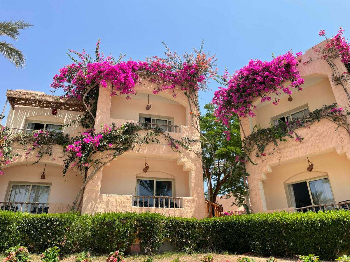 Blue Lagoon View Resort & Spa Marsa Alam Exterior foto