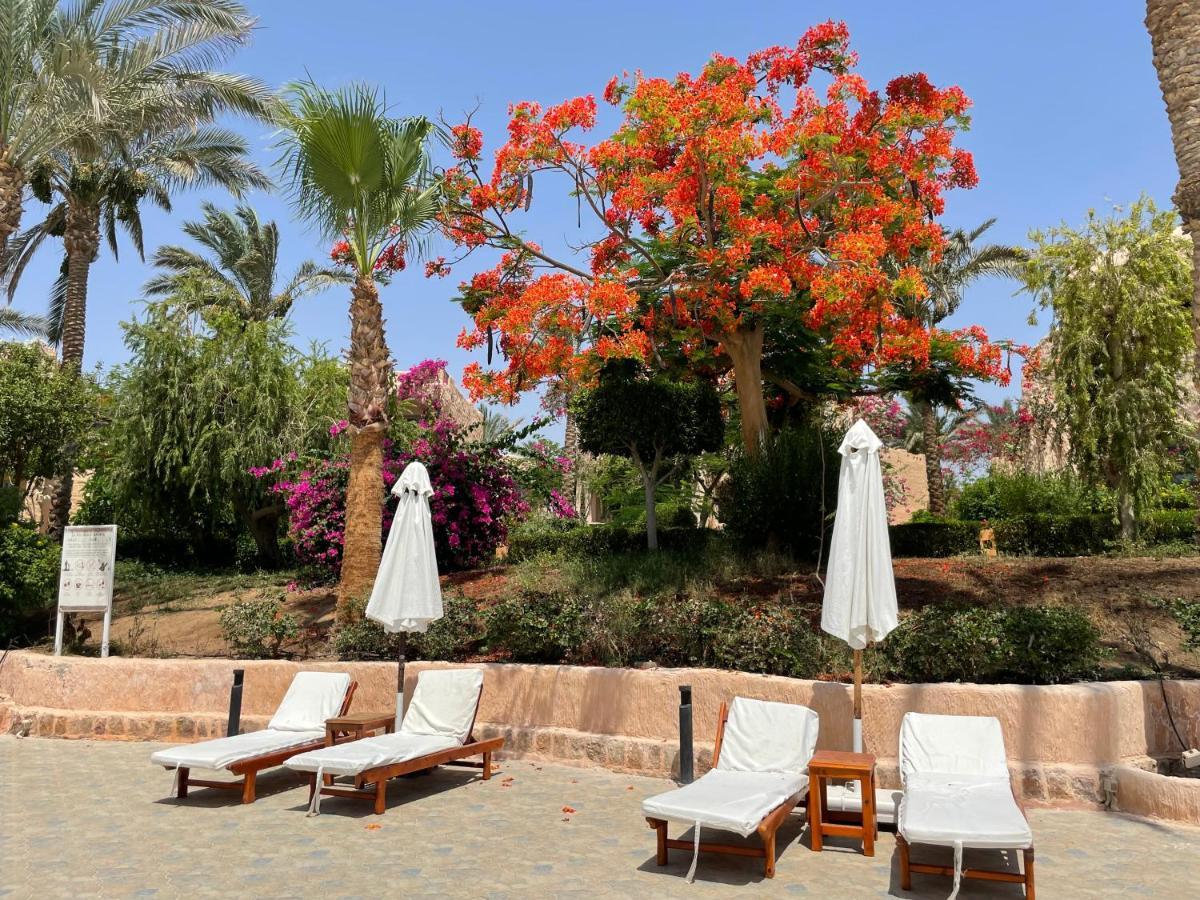 Blue Lagoon View Resort & Spa Marsa Alam Exterior foto